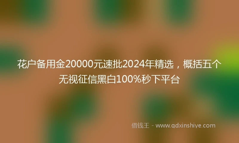 花户备用金20000元速批2024年精选，概括五个无视征信黑白100%秒下平台