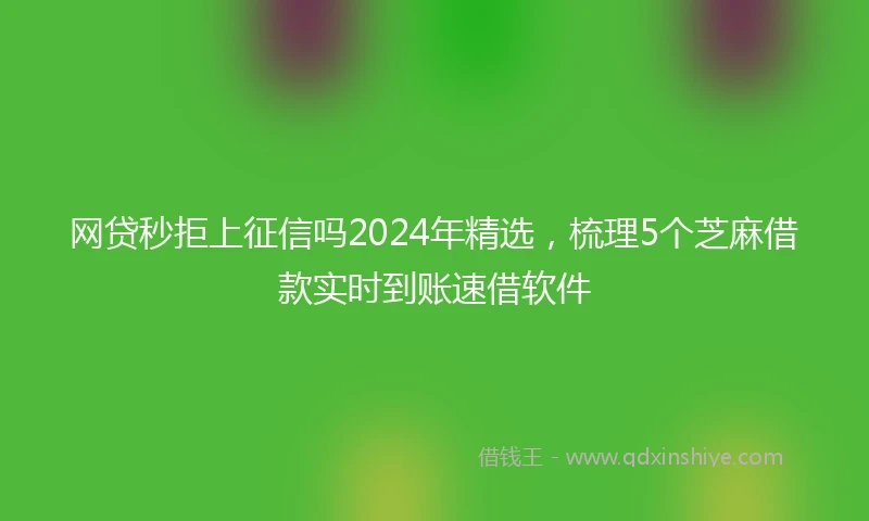 网贷秒拒上征信吗2024年精选，梳理5个芝麻借款实时到账速借软件