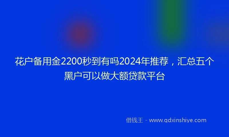 花户备用金2200秒到有吗2024年推荐，汇总五个黑户可以做大额贷款平台