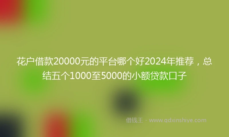 花户借款20000元的平台哪个好2024年推荐，总结五个1000至5000的小额贷款口子