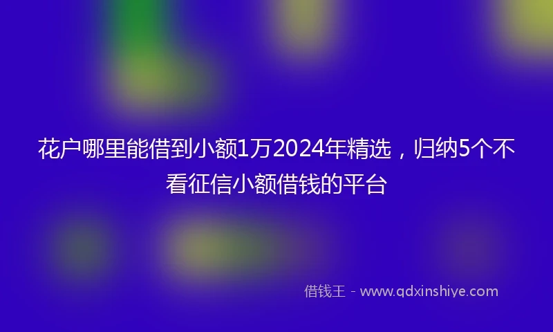 花户哪里能借到小额1万2024年精选,归纳5个不看征信小额借钱的平台