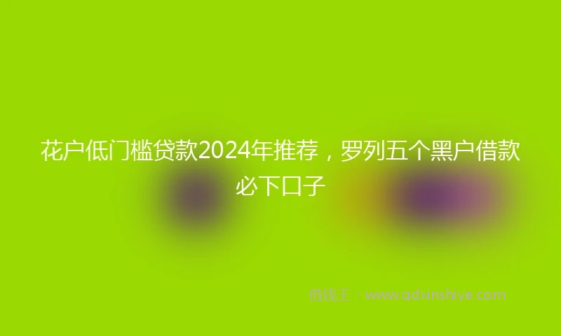 花户低门槛贷款2024年推荐，罗列五个黑户借款必下口子