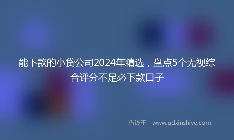能下款的小贷公司2024年精选，盘点5个无视综合评分不足必下款口子