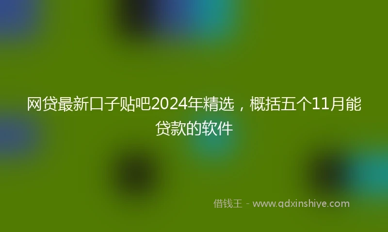 网贷最新口子贴吧2024年精选，概括五个11月能贷款的软件