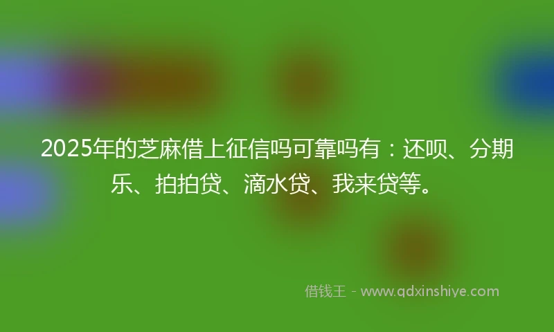 2025年的芝麻借上征信吗可靠吗有：还呗、分期乐、拍拍贷、滴水贷、我来贷等。