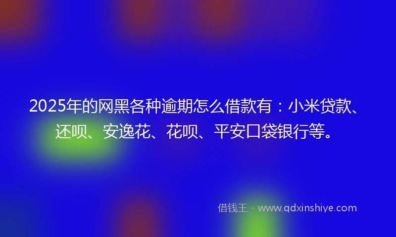 2025年的网黑各种逾期怎么借款有：小米贷款、还呗、安逸花、花呗、平安口袋银行等。