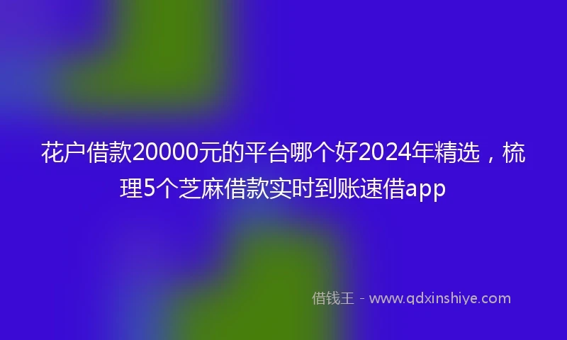 花户借款20000元的平台哪个好2024年精选，梳理5个芝麻借款实时到账速借app