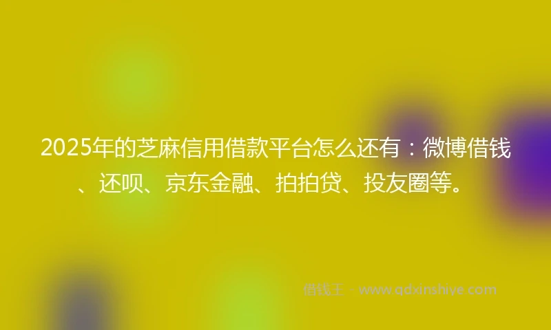 2025年的芝麻信用借款平台怎么还有：微博借钱、还呗、京东金融、拍拍贷、投友圈等。