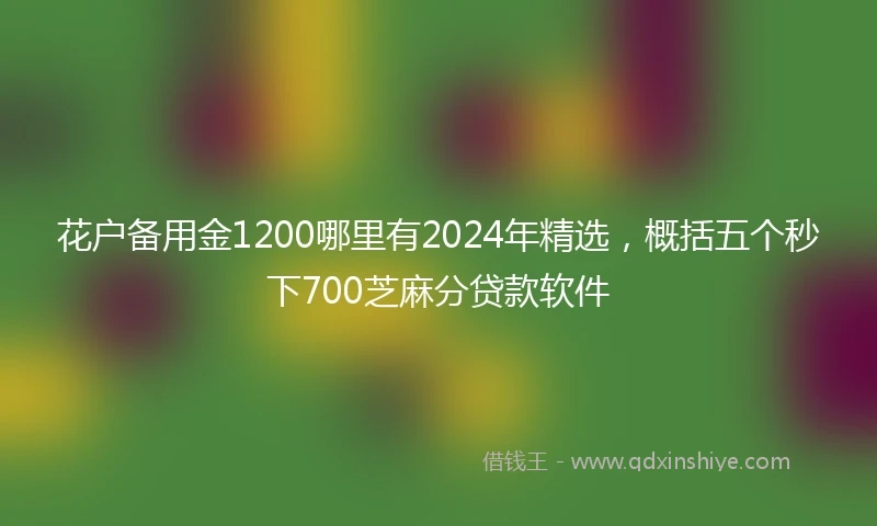 花户备用金1200哪里有2024年精选，概括五个秒下700芝麻分贷款软件