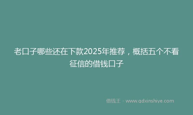 老口子哪些还在下款2025年推荐，概括五个不看征信的借钱口子