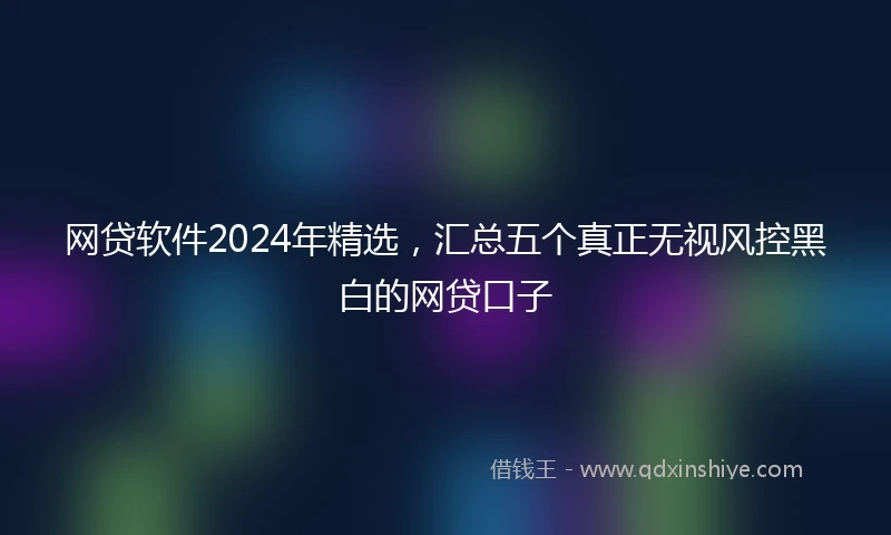 网贷软件2024年精选，汇总五个真正无视风控黑白的网贷口子
