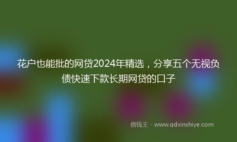 花户也能批的网贷2024年精选,分享五个无视负债快速下款长期网贷的口子