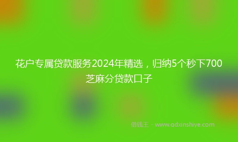 花户专属贷款服务2024年精选，归纳5个秒下700芝麻分贷款口子