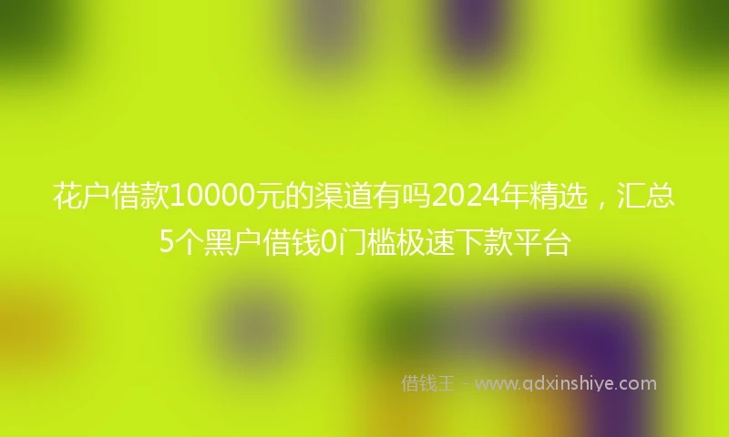 花户借款10000元的渠道有吗2024年精选，汇总5个黑户借钱0门槛极速下款平台