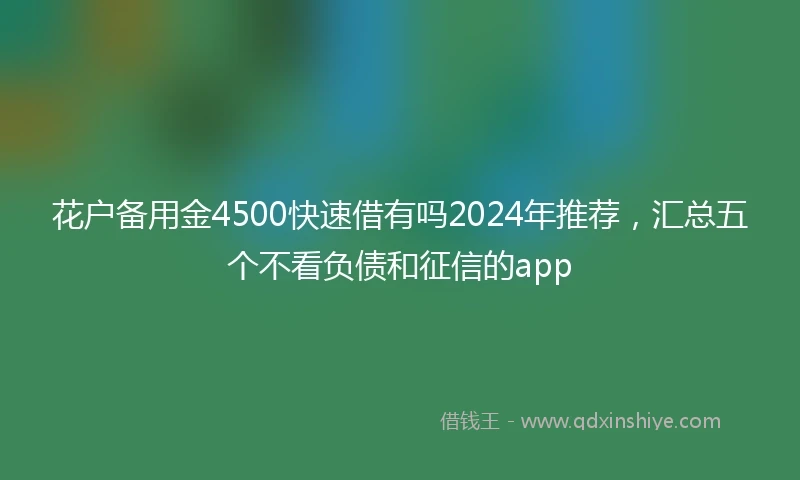 花户备用金4500快速借有吗2024年推荐，汇总五个不看负债和征信的app