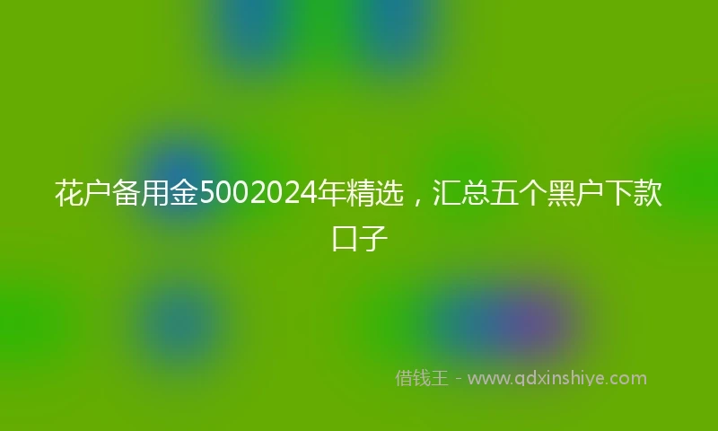 花户备用金5002024年精选，汇总五个黑户下款口子