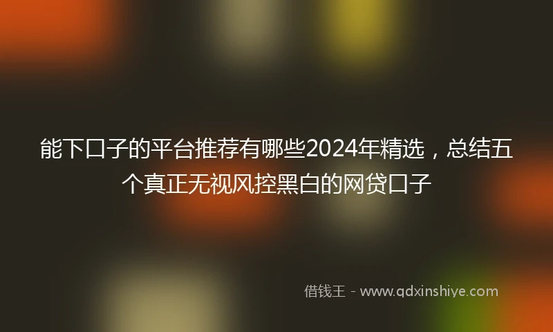 能下口子的平台推荐有哪些2024年精选，总结五个真正无视风控黑白的网贷口子