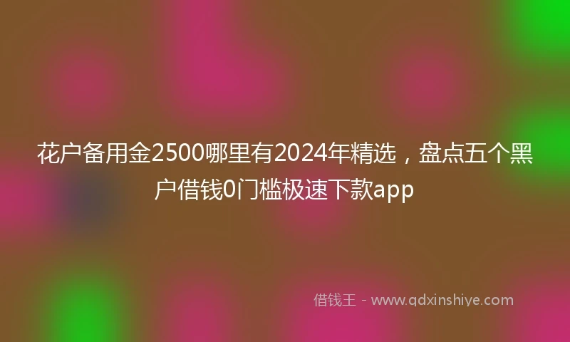 花户备用金2500哪里有2024年精选，盘点五个黑户借钱0门槛极速下款app