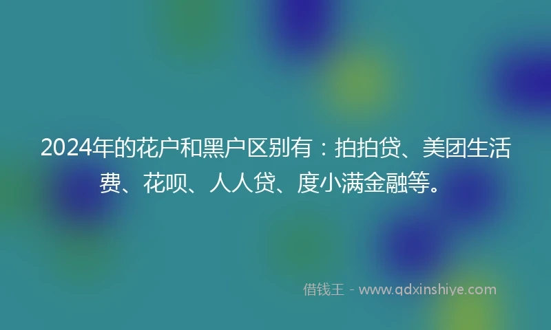2024年的花户和黑户区别有：拍拍贷、美团生活费、花呗、人人贷、度小满金融等。