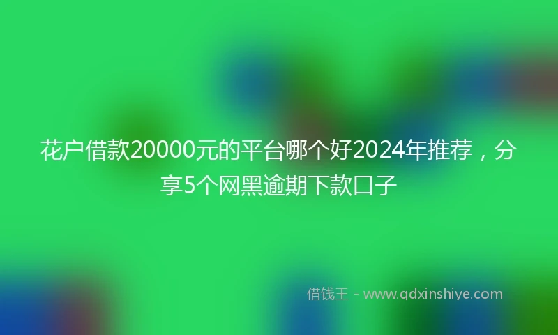 花户借款20000元的平台哪个好2024年推荐，分享5个网黑逾期下款口子