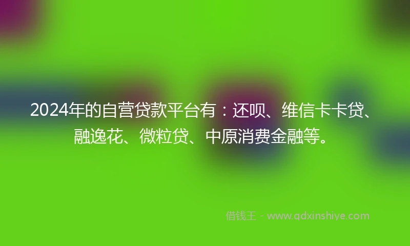 2024年的自营贷款平台有：还呗、维信卡卡贷、融逸花、微粒贷、中原消费金融等。