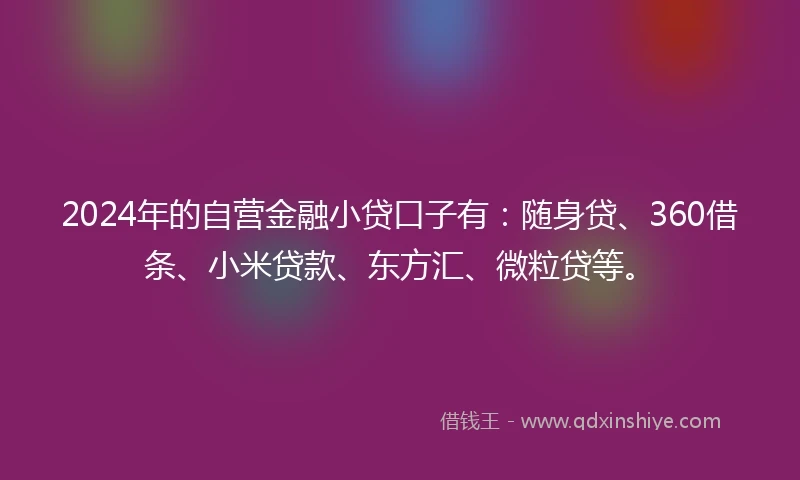 2024年的自营金融小贷口子有：随身贷、360借条、小米贷款、东方汇、微粒贷等。