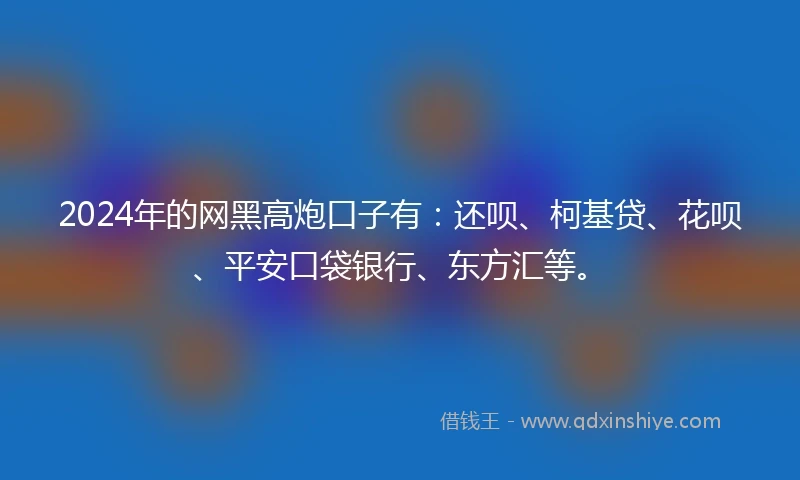 2024年的网黑高炮口子有：还呗、柯基贷、花呗、平安口袋银行、东方汇等。