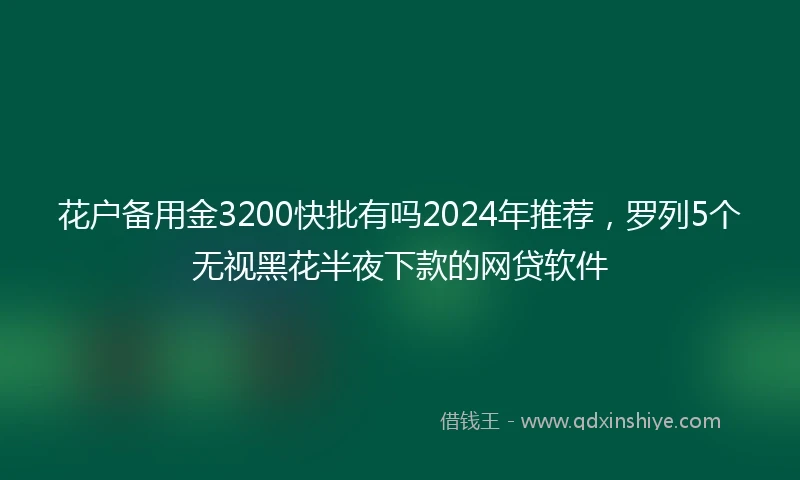 花户备用金3200快批有吗2024年推荐，罗列5个无视黑花半夜下款的网贷软件