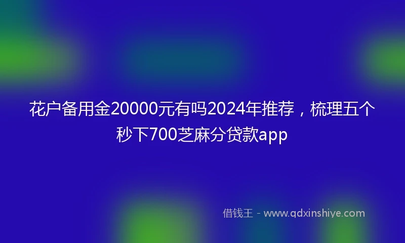 花户备用金20000元有吗2024年推荐，梳理五个秒下700芝麻分贷款app