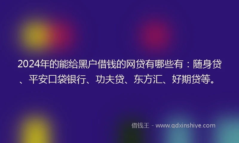 2024年的能给黑户借钱的网贷有哪些有：随身贷、平安口袋银行、功夫贷、东方汇、好期贷等。