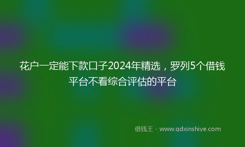 花户一定能下款口子2024年精选，罗列5个借钱平台不看综合评估的平台
