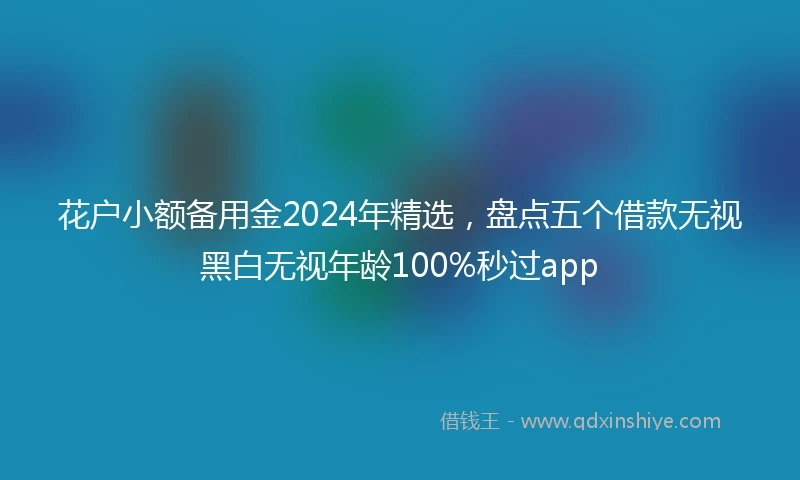 花户小额备用金2024年精选,盘点五个借款无视黑白无视年龄100%秒过app