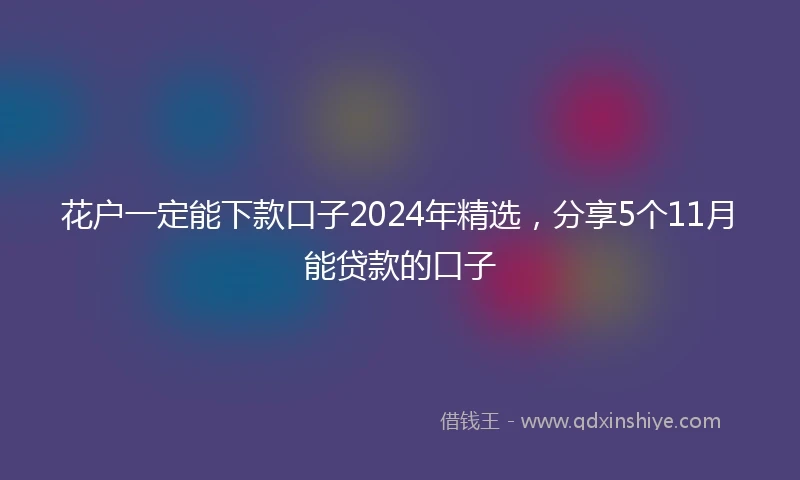 花户一定能下款口子2024年精选，分享5个11月能贷款的口子