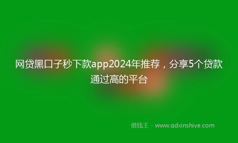 网贷黑口子秒下款app2024年推荐，分享5个贷款通过高的平台