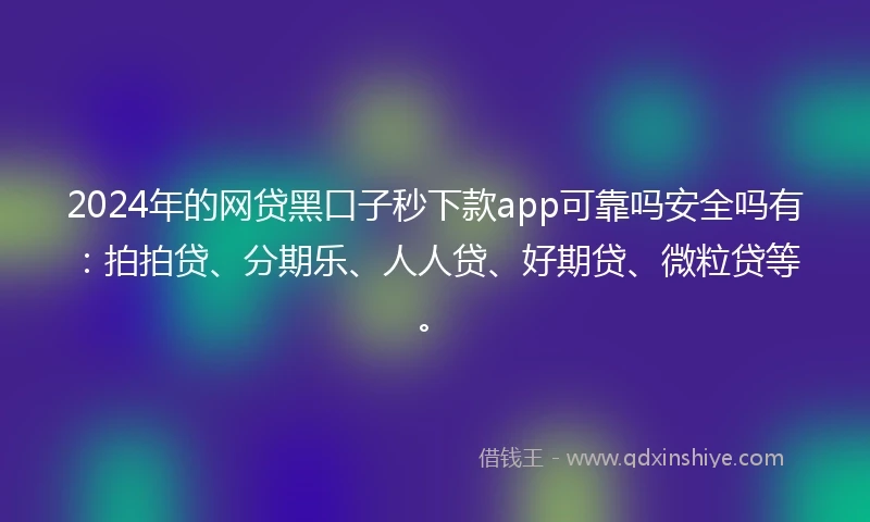 2024年的网贷黑口子秒下款app可靠吗安全吗有：拍拍贷、分期乐、人人贷、好期贷、微粒贷等。