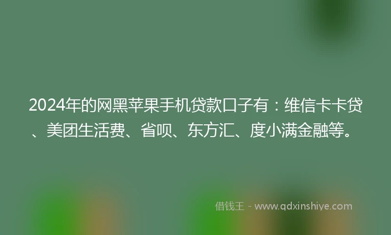 2024年的网黑苹果手机贷款口子有：维信卡卡贷、美团生活费、省呗、东方汇、度小满金融等。