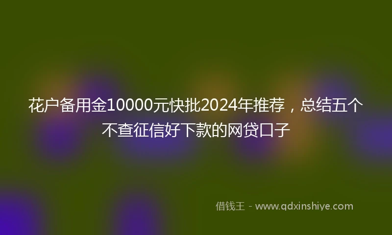 花户备用金10000元快批2024年推荐，总结五个不查征信好下款的网贷口子