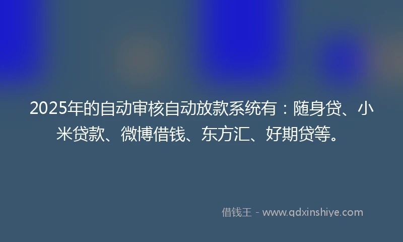 2025年的自动审核自动放款系统有：随身贷、小米贷款、微博借钱、东方汇、好期贷等。