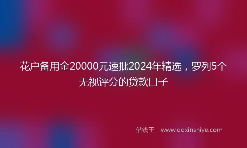 花户备用金20000元速批2024年精选，罗列5个无视评分的贷款口子