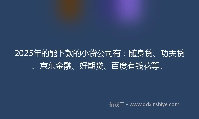 2025年的能下款的小贷公司有：随身贷、功夫贷、京东金融、好期贷、百度有钱花等。