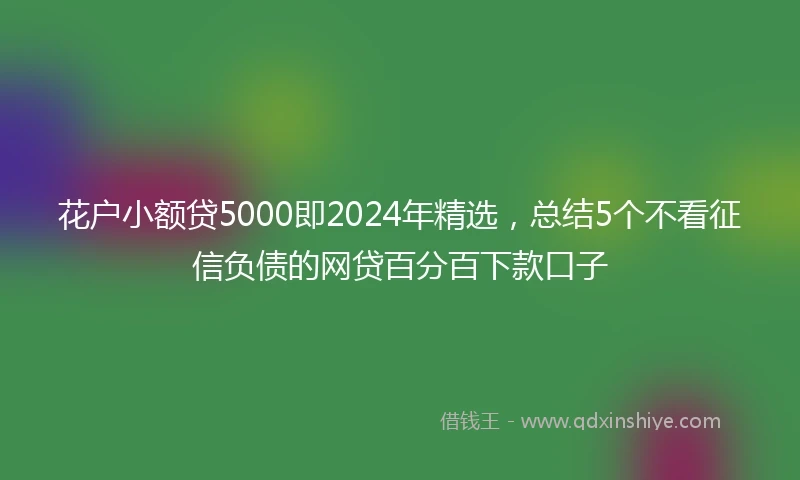 花户小额贷5000即2024年精选,总结5个不看征信负债的网贷百分百下款口子
