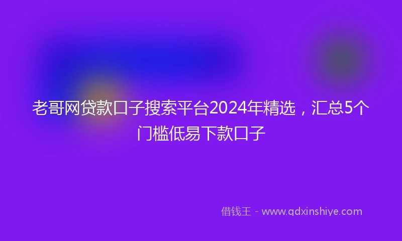 老哥网贷款口子搜索平台2024年精选,汇总5个门槛低易下款口子