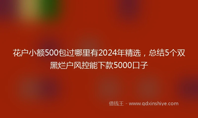 花户小额500包过哪里有2024年精选，总结5个双黑烂户风控能下款5000口子