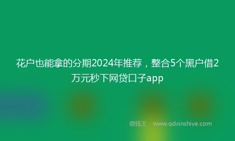 花户也能拿的分期2024年推荐，整合5个黑户借2万元秒下网贷口子app