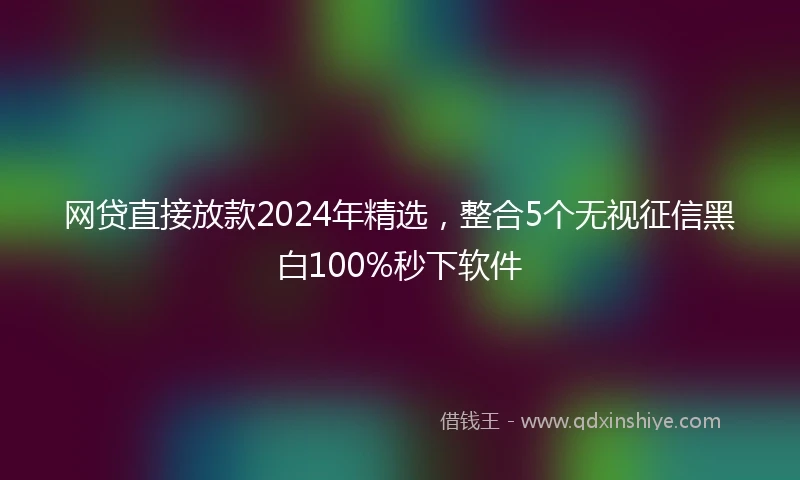 网贷直接放款2024年精选，整合5个无视征信黑白100%秒下软件