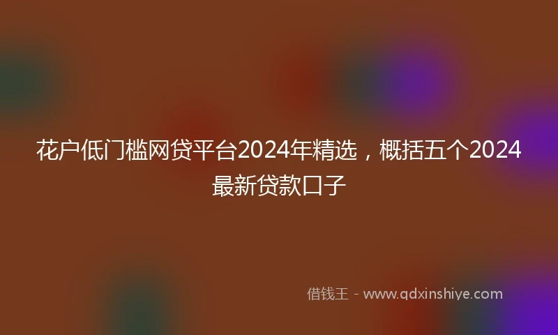 花户低门槛网贷平台2024年精选，概括五个2024最新贷款口子