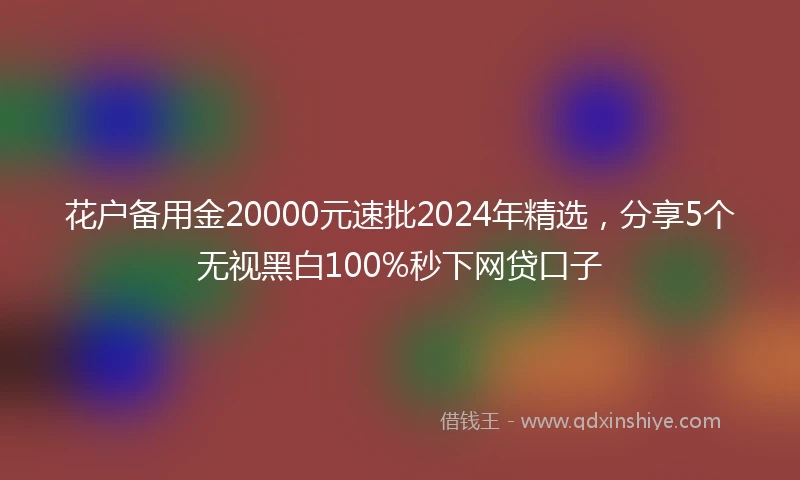 花户备用金20000元速批2024年精选，分享5个无视黑白100%秒下网贷口子