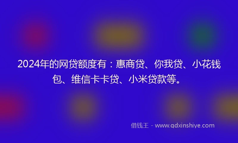 2024年的网贷额度有：惠商贷、你我贷、小花钱包、维信卡卡贷、小米贷款等。