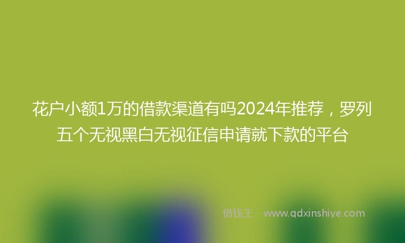 花户小额1万的借款渠道有吗2024年推荐，罗列五个无视黑白无视征信申请就下款的平台