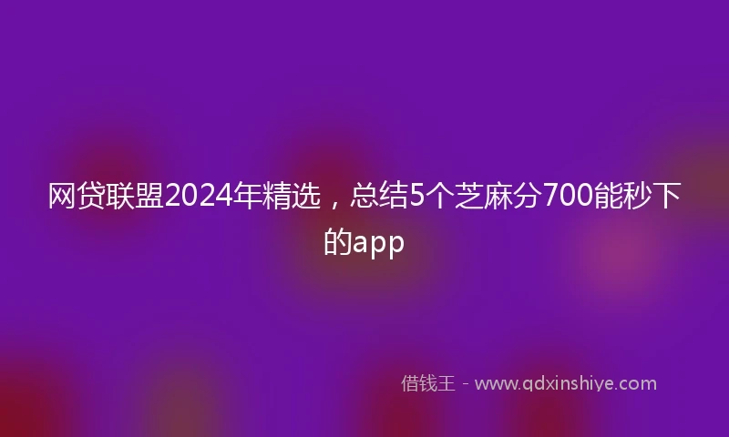 网贷联盟2024年精选,总结5个芝麻分700能秒下的app